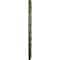 Ekena Millwork Kendall Train Station Medallion (Canopies up to 3 7/8"), 18 1/2"OD x 3 7/8"ID x 1"P, Painted Turtle CM18KDPTF - alternate 2
